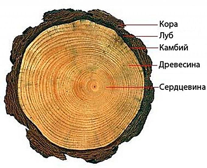 Рис. 10.1.  Стационарная деревянная опалубка